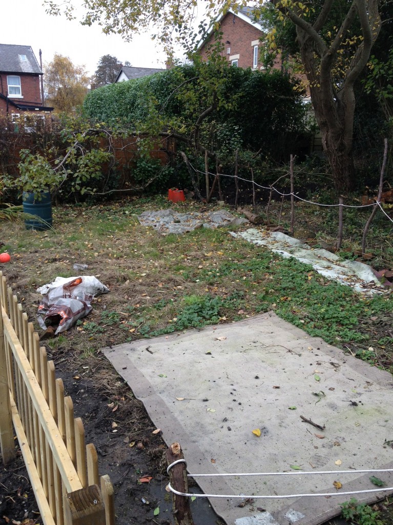 www.hoylesfitness.com, Cheshire, Poynton, Organic Allotment, Vegetables, Home Grown, Organic Food