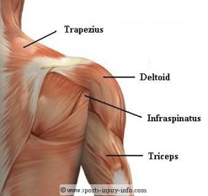 Shoulder muscle imbalance, Muscle Tightness and Joint Injury
