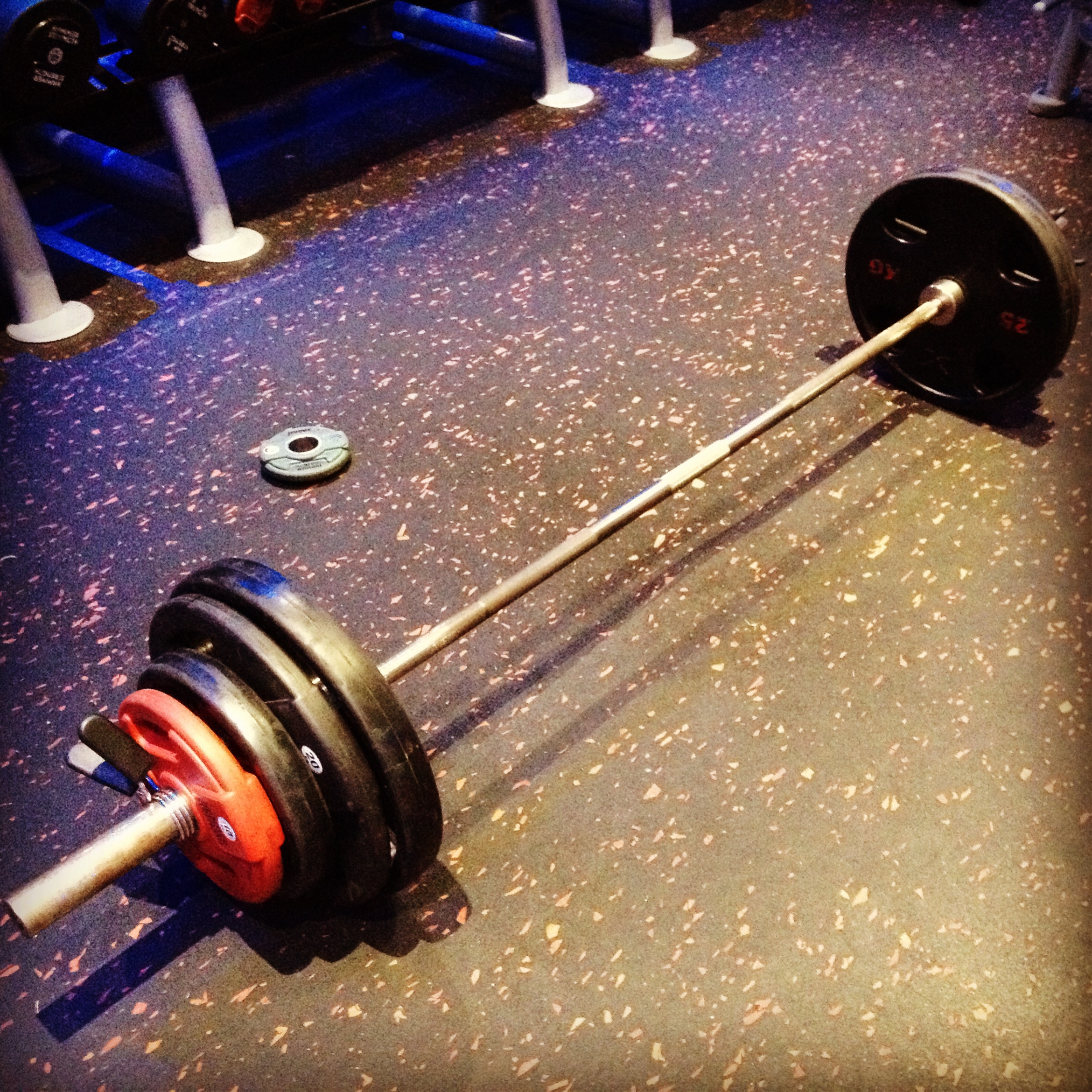 www.hoylesfitness.com, personal training, fitness, fat loss, strength, exercise