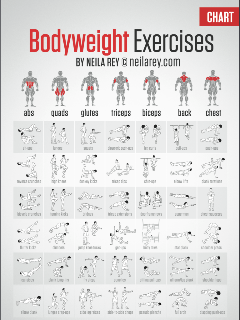 bodyweight exercise chart